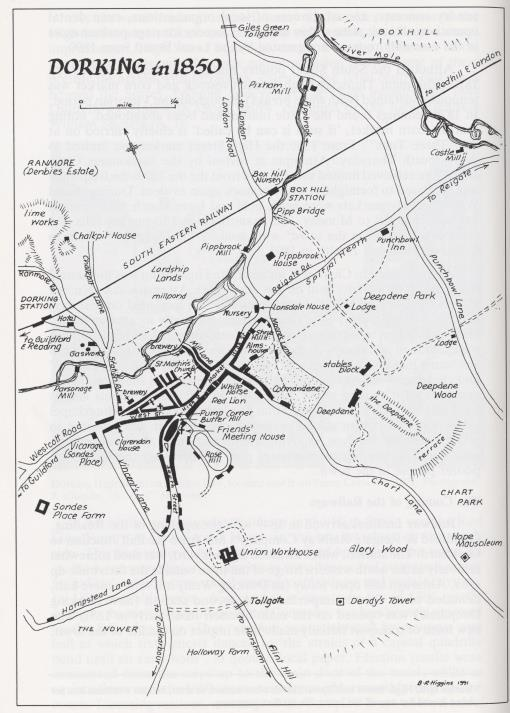 Dorking 1850